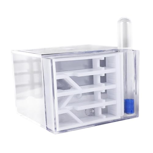 Sharplace Ameisenfarm, Haus, Studium, DIY-Zubehör, Wissenschaft, pädagogisches lustiges Spielzeug, Lebensraum für Dekoration, Geschenk, Zuhause, Sharplace Ameisenfarm, Haus, Studium, DIY-Zubehör, Wissenschaft, pädagogisches lustiges Spielzeug, Lebensraum für Dekoration, Geschenk, Zuhause, von Sharplace