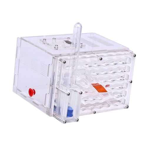 Sharplace -Ausstellungsbox, Spielzeug, Heimwerkerbedarf, Werkstatt mit Futterspender, Ameisenfarm, Zuchtkoffer für die Dekoration zum Kindertag zu von Sharplace