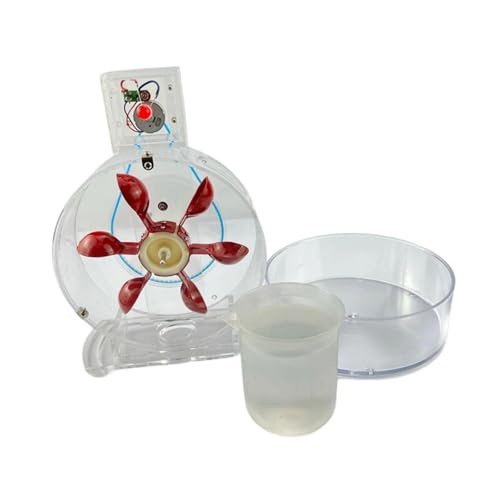 Sharplace -Demonstrationskit, Wissenschaftliches Experimentierset, Frühpädagogisches Spielzeug, Experimentierset für Laborlehrer, von Sharplace