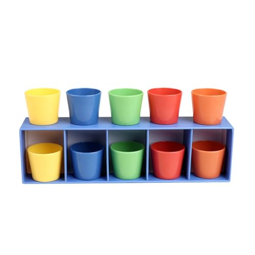 Sharplace Farbabgleichsspiel-Set, pädagogische Gruppenherausforderung, Geburtstagsparty-Zubehör für und Erwachsene, logisches Denken, Farbratespiel Sharplace Farbabgleichsspiel-Set, pädagogische Gruppenherausforderung, Geburtstagsparty-Zubehör für und Erwachsene, logisches Denken, Farbratespiel von Sharplace
