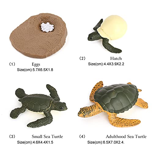 Sharplace Interaktives Spielzeug für Kinder - Meereslebewesen Schildkröte, 2 STK von Sharplace