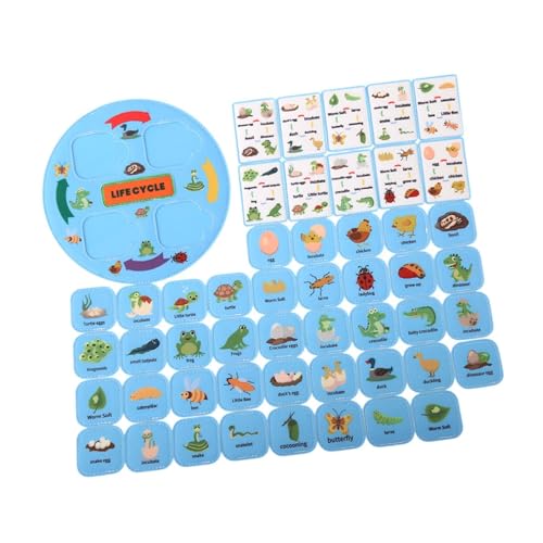 Sharplace Life Cycle Kit Food Chain Fun Lernparty Gefälligkeiten für Tierlernen Nahrungsnetz für 3 4 5 6 7 8 Klassenzimmer Vorschule, Blau Sharplace Life Cycle Kit Food Chain Fun Lernparty Gefälligkeiten für Tierlernen Nahrungsnetz für 3 4 5 6 7 8 Klassenzimmer Vorschule, Blau von Sharplace