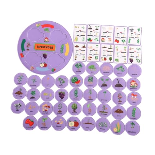 Sharplace Life Cycle Kit Food Chain Fun Lernparty Gefälligkeiten für Tierlernen Nahrungsnetz für 3 4 5 6 7 8 Klassenzimmer Vorschule, Lila Sharplace Life Cycle Kit Food Chain Fun Lernparty Gefälligkeiten für Tierlernen Nahrungsnetz für 3 4 5 6 7 8 Klassenzimmer Vorschule, Lila von Sharplace