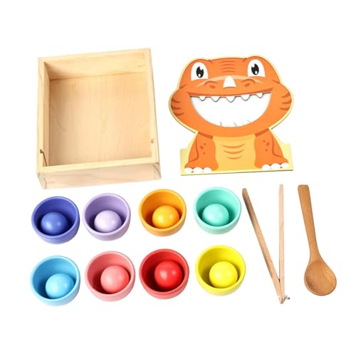 Sharplace Regenbogenbälle in Bechern, Zuordnungsspiel, Feinmotorik-Spielzeug, Kinderentwicklung, Sensorikball, Farbsortierspielzeug, Geburtstagsgeschenk von Sharplace