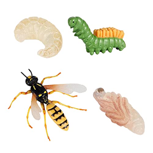 Sharplace Wasp Lore Lebensdauer Zyklus-4 Pcs Figur Zeigt Leben von Wasp Sharplace Wasp Lore Lebensdauer Zyklus-4 Pcs Figur Zeigt Leben von Wasp von Sharplace