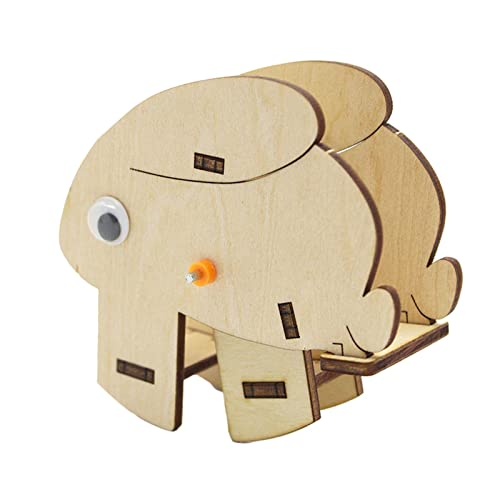 Sharplace Wood Science Model Kit Experiment Toy Technology Kleine Produktion für Geburtstagsgeschenke von Sharplace