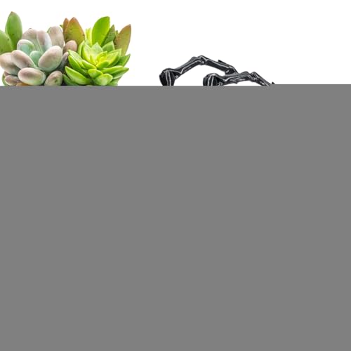 Spinnen-Fidget-Spielzeug, 3D-gedrucktes Spinnen-Fidget,3D-gedruckte Spinnenspielzeuge mit beweglichen Gelenken | Stressabbau-Schreibtischspielzeug für Erwachsene, Zappelspielzeug, von Shenrongtong