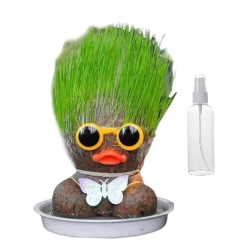 Shitafe Wachstum der Graskopfpuppe, Graspuppe - Bday Goodies Topffahrzeug,Bildungsvorräte mit Tabletts und Sprühflaschen, um Kinder zu kultivieren, die die Fähigkeit zur Gartendekoration für Frauen von Shitafe