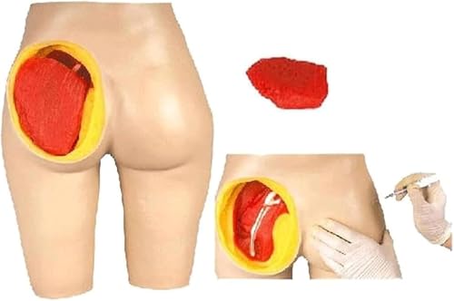 Hüftinjektions-Trainingssimulator – realistisches abnehmbares Modell for die Praxis intramuskulärer Injektionen in der Ausbildung im Gesundheitswesen Hüftinjektions-Trainingssimulator – realistisches abnehmbares Modell for die Praxis intramuskulärer Injektionen in der Ausbildung im Gesundheitswesen von ShuaaM