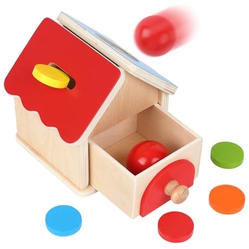 Siairo Montessori-Spielzeug für Kleinkinder, Münze und Ball, 2-in-1-Drop-Box, Hausform Objekt-Permanenzbox für Kleinkinder, Vorschulkinder von Siairo