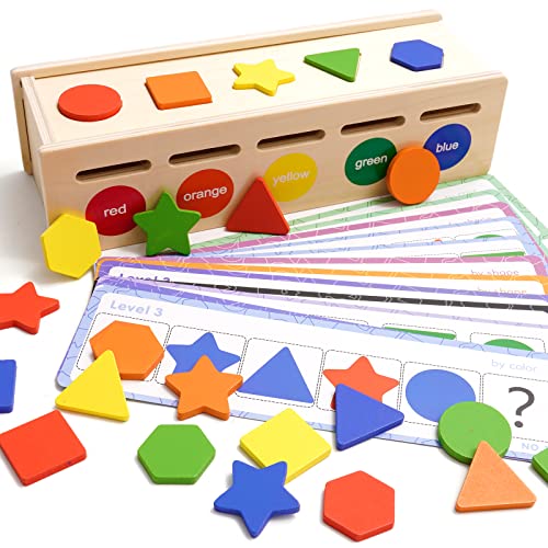 Sortierspiel Montessori Spielzeug mit Aufbewahrungsbox für 2 3 4 Jahre Farbsortierung & Stapeln Passende Spielzeuge Lernsortierspielzeug mit 25 geometrischen Blöcken und 12 Quiz-Karten für 2+ Kinder von Siairo