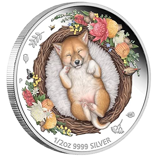 1/2 Unze Silber Baby Dingo coloriert, Serie Dreaming Down Under 2021 in Original-Sammlerbox, Differenzbesteuert nach § 25a UstG von Silbermünze
