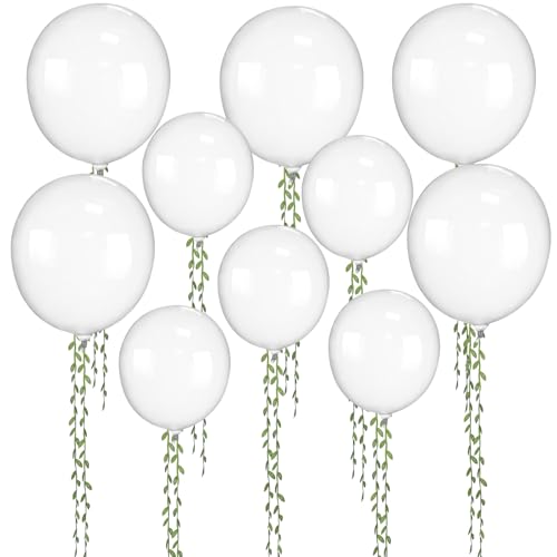 Silipull 262 Ft olivgrünes Blatt Band künstliche Reben Schnur Trim Band mit Luftballons für DIY Handwerk Baby Shower Party Hochzeit Zuhause Kranz Dekoration (transparent) von Silipull