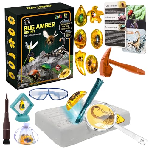 SilverChry Bernstein Ausgrabungsset für Kinder, Ausgrabungsset für Kinder, Forscherset für KinderAb 6, Insekten KinderForschen, SteineKinder, Junge Geschenkideen, Spielzeug Ab 6 Jahre Mädchen SilverChry Bernstein Ausgrabungsset für Kinder, Ausgrabungsset für Kinder, Forscherset für KinderAb 6, Insekten KinderForschen, SteineKinder, Junge Geschenkideen, Spielzeug Ab 6 Jahre Mädchen von SilverChry