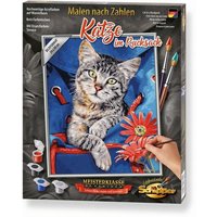 Schipper Malen-nach-Zahlen - Meisterklasse Klassiker - Katze im Rucksack Schipper Malen-nach-Zahlen - Meisterklasse Klassiker - Katze im Rucksack von Simba Toys