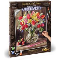 Schipper Malen-nach-Zahlen - Meisterklasse Premium - Ein Gruß aus dem Bauerngarten Schipper Malen-nach-Zahlen - Meisterklasse Premium - Ein Gruß aus dem Bauerngarten von Simba Toys
