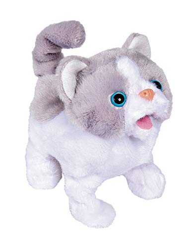 Simba Chi Love Little Cat Plüschtiere mehrfarbig one size Simba Chi Love Little Cat Plüschtiere mehrfarbig one size von Simba