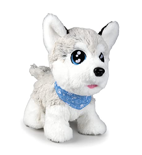 Simba - Chichi Love Husky - Interaktives Plüschtier 30 cm - 60 Töne - Batterien im Lieferumfang enthalten - ab 4 Jahren - 105890050002 - FRENCH VERSION Simba - Chichi Love Husky - Interaktives Plüschtier 30 cm - 60 Töne - Batterien im Lieferumfang enthalten - ab 4 Jahren - 105890050002 - FRENCH VERSION von Simba