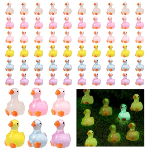 60stk Miniatur Gänse Figuren, Leuchten im Dunkeln Harz Winzige Gänse Statuen Mini Tier Dekoration für Babyparty DIY-Handwerk Feengarten Mikro Landschaft von Sinbana