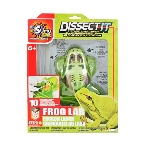 Slimy Original Lab Dissect-IT - Experimentieren & Forschen Sezier-Set - Schleim Labor, prämiertes STEM/Mint Lernspielzeug, Slime-Set mit Spielknete und Sezierwerkzeug Variante:Frosch von Slimy