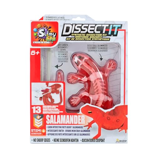 Original SLIMY Lab Dissect-IT - Experimentieren & Forschen Sezier-Set - Schleim Labor, prämiertes STEM/Mint Lernspielzeug, Slime-Set mit Spielknete und Sezierwerkzeug Variante:Salamander von Slimy