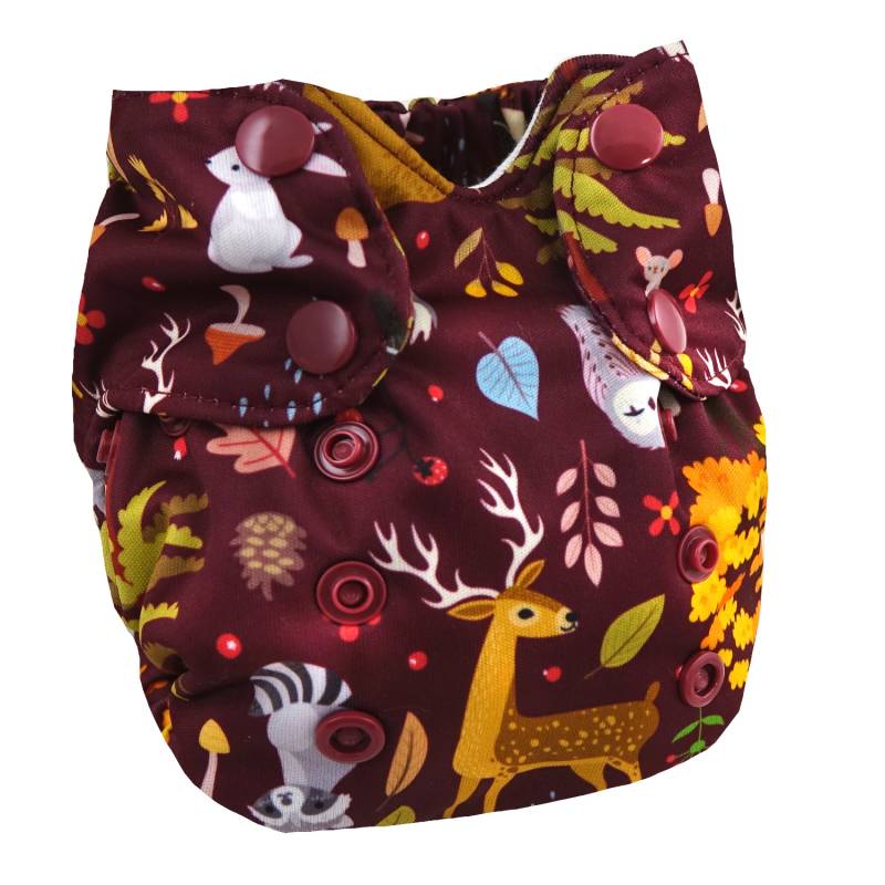 Smart Bottoms Born Smart 2.0 AIO für Neugeborene - Ever After von Smart Bottoms