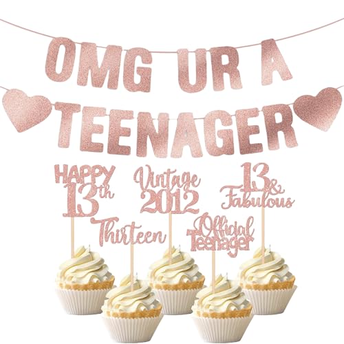 Deko 13. Geburtstag Mädchen Junge Offizielle Teenager 13. Geburtstagsdeko Banner, Glitzer 13. Geburtstag Cupcake Topper, Tortendeko 13 Years Old Birthday Twinkle Star Girlande Hanging Streamer Deko 13. Geburtstag Mädchen Junge Offizielle Teenager 13. Geburtstagsdeko Banner, Glitzer 13. Geburtstag Cupcake Topper, Tortendeko 13 Years Old Birthday Twinkle Star Girlande Hanging Streamer von Snyvpra