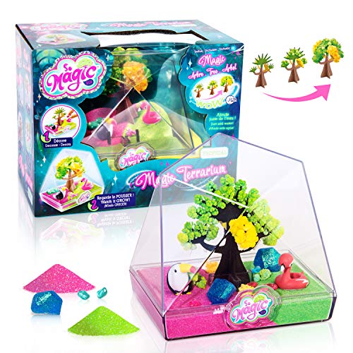 Canal Toys – MSG 003 – Kreative Freizeit – So Magic – Medium Terrarium – zufällige Auswahl Canal Toys – MSG 003 – Kreative Freizeit – So Magic – Medium Terrarium – zufällige Auswahl von So magic dIY