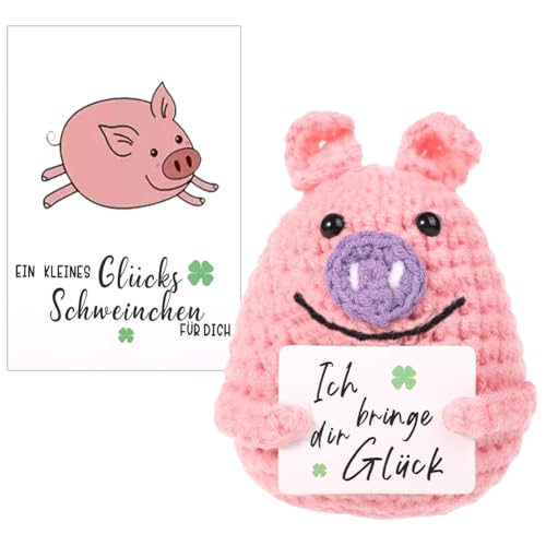 Mini-Plüsch Figuren, Kreative Strickwolle Minischwein Puppe, Positive Geschenke Schwein Hug, Glücksbringer Mutmacher Geschenk für Frauen Männer Kollege Geduldig Familie und Freunde von SoLLek