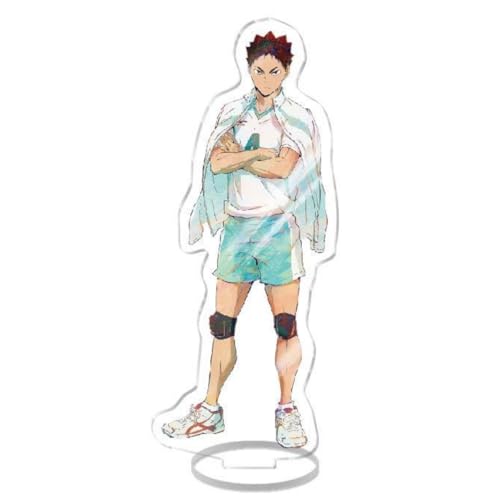 Sonsoke Hinata Shoyo Acryl Stehend Spiel Figur Ständer Acryl Ständer Modell Sammlungen Peripherie Tisch Cosplay Dekoration (Iwaizumi Hajime 1) von Sonsoke