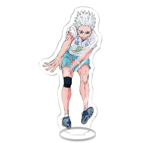 Sonsoke Hinata Shoyo Acryl Stehend Spiel Figur Ständer Acryl Ständer Modell Sammlungen Peripherie Tisch Cosplay Dekoration (Korai Hoshiumi 1) von Sonsoke