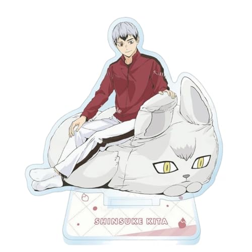Sonsoke Hinata Shoyo Acryl Stehend Spiel Figur Ständer Acryl Ständer Modell Sammlungen Peripherie Tisch Cosplay Dekoration (Shinsuke Kita 2) von Sonsoke