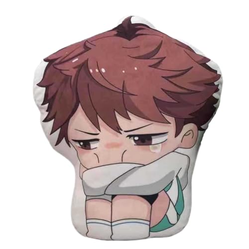 Sonsoke Hinata Shoyo Anime Figur Plüschkissen Manga Cosplay Plüschtier Wurfkissen für Halloween-Dekorationen, Geburtstagsspielzeug 45 cm (Oikawa Tooru 2) von Sonsoke