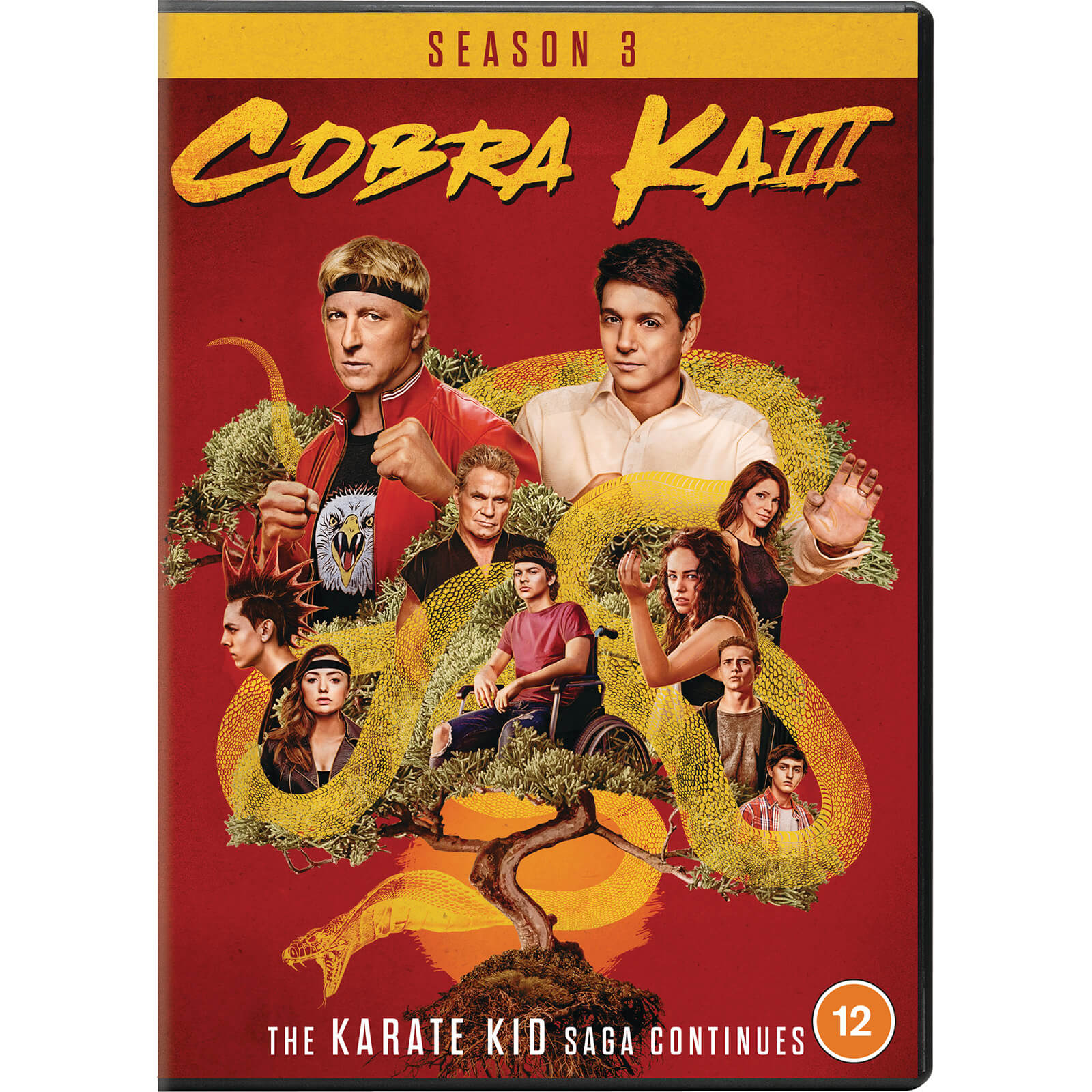 Cobra Kai - Seasons 03 Cobra Kai - Seasons 03 von Sony Pictures