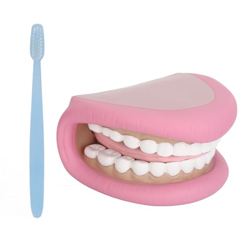 Zahnpuppe, Handpuppe mit Zunge, Zahnmodell für Sprachtherapie-, Demonstration des Mundhygieneunterrichts von Sorandy