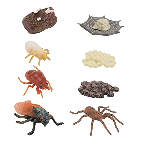 2Sätze Imitations Insektenmodell für Teiliges Lernspielzeug zur des Lebenszyklusverständnisses Wissenschaftliche Ausbildung und Kognitive Entwicklung 2Sätze Imitations Insektenmodell für Teiliges Lernspielzeug zur des Lebenszyklusverständnisses Wissenschaftliche Ausbildung und Kognitive Entwicklung von Sosoport