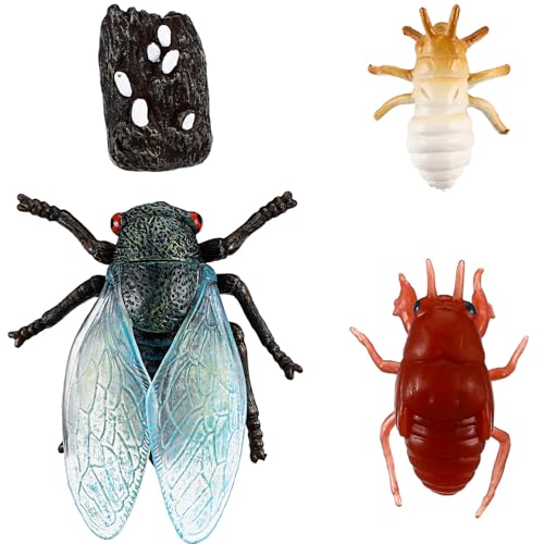 Sosoport 1 Satz Kognitives für Wissenschaft und Bildung Tiere Tierspielzeug Kinderspielzeug simuliert Party Mini Simulationsfigur Zikadenfigur aus Kunststoff Zikaden Figur Plastik Sosoport 1 Satz Kognitives für Wissenschaft und Bildung Tiere Tierspielzeug Kinderspielzeug simuliert Party Mini Simulationsfigur Zikadenfigur aus Kunststoff Zikaden Figur Plastik von Sosoport