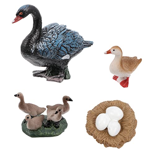 Sosoport 1 schwarzes Schwanenmodell für kinderspielzeug Educational Toys Fun Toy spielzeuge für Schwan-Display-Modelle Schwanenwachstumsmodell Plastik Sosoport 1 schwarzes Schwanenmodell für kinderspielzeug Educational Toys Fun Toy spielzeuge für Schwan-Display-Modelle Schwanenwachstumsmodell Plastik von Sosoport