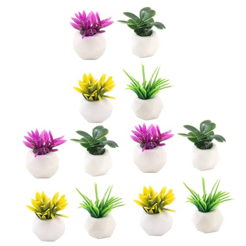 Sosoport 12 Stück Simulierte Saftige Kleine Topfpflanze Puppenhaus Topfblumen Fälschung Winzig Miniaturpflanzen Sukkulenten Eingetopft Für Künstlich Mikrolandschaftsblume Gefälscht Harz von Sosoport