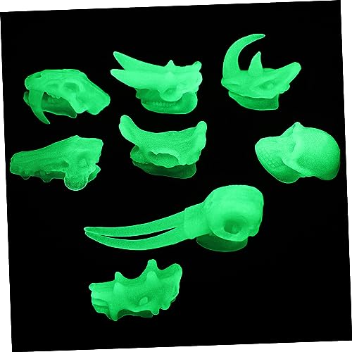 Sosoport 1Satz Dinosaurier Knochenmodell Für Nachtleuchtendes Dinosaurier Schädel Und Knochen Bildungsspielzeug Für Kreatives Lernen Für Ab Jahren von Sosoport