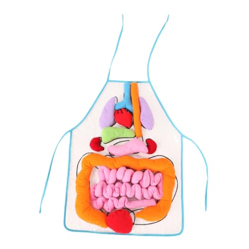Sosoport 1Satz Körperorgane Schürze für Pädagogisches Kinderspielzeug für Vorschulunterricht Anatomisches Lehrmittel zur Kognitiven Entwicklung Transparentes Design für Spielerisches von Sosoport
