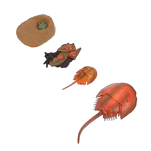 Sosoport 1Satz Organismus Simulation Teiliges Lernspielzeug für Frühe Bildung Umweltfreundliches Tiermodell zur des Erkennens von Meerestieren und Lebenszyklen Sosoport 1Satz Organismus Simulation Teiliges Lernspielzeug für Frühe Bildung Umweltfreundliches Tiermodell zur des Erkennens von Meerestieren und Lebenszyklen von Sosoport