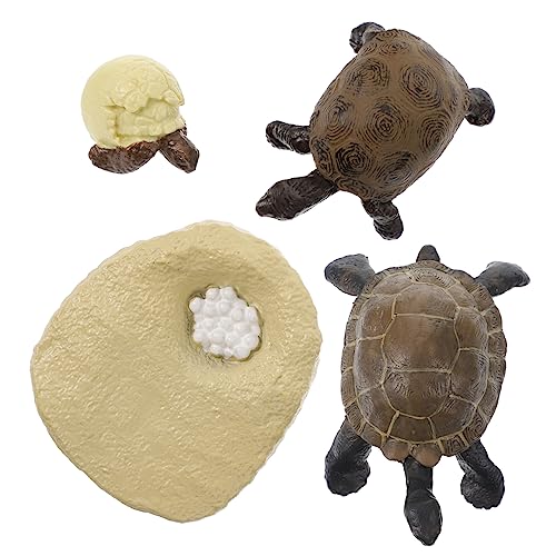 Sosoport 1Satz Schildkröte Wachstumszyklus Modell Simulierte Schildkröten Figuren für Kognitive Spielzeuge Fantasie und Lernprozessen Lebenszyklus Darstellungen Sosoport 1Satz Schildkröte Wachstumszyklus Modell Simulierte Schildkröten Figuren für Kognitive Spielzeuge Fantasie und Lernprozessen Lebenszyklus Darstellungen von Sosoport