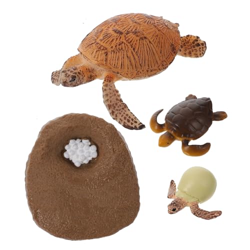 Sosoport 1Satz Schildkröten Modellspielzeug Lebenszyklus Figuren für Kleinkinder Kognitiven Entwicklung Lernspielzeug zur Darstellung des Tierwachstums Farbenfroh von Sosoport