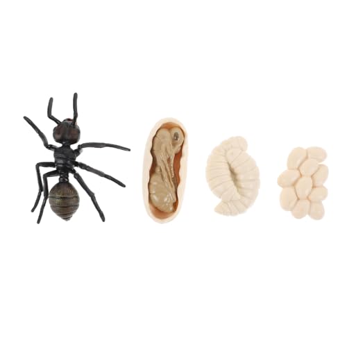 Sosoport 1Satz Simulation Ameisen Wachstumszyklus Modell Lustige Ant Modelle für Lernspielzeug Kognitiven Fähigkeiten und Kreativität Sosoport 1Satz Simulation Ameisen Wachstumszyklus Modell Lustige Ant Modelle für Lernspielzeug Kognitiven Fähigkeiten und Kreativität von Sosoport