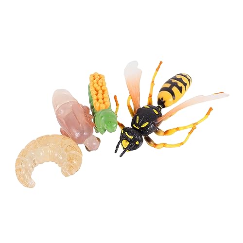 Sosoport 1Satz Teiliges Insektenmodell Wespen Lebenszyklus Lernspielzeug für Realistische Figuren Kognitiven Fähigkeiten und Bildung Perfektes von Sosoport