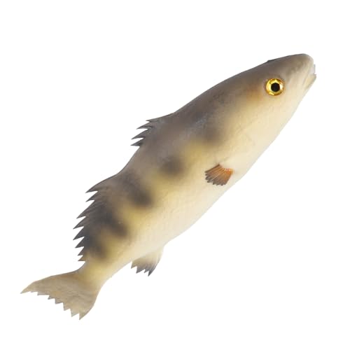 Sosoport 1Stück Fischdekoration aus Realistische Simulation Fischspielzeuge für Tischdeko und Wanddeko für Büro Zuhause und Restaurant Lebendige Tiermodelle Sosoport 1Stück Fischdekoration aus Realistische Simulation Fischspielzeuge für Tischdeko und Wanddeko für Büro Zuhause und Restaurant Lebendige Tiermodelle von Sosoport