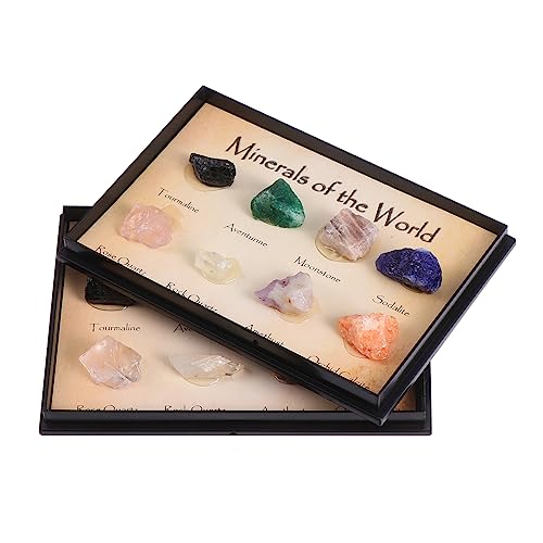 Sosoport 2 Boxen Erz proben rohsteine Schmucksteine Decor handwerkskunst bastelzeug Jewel einfache Erzsteine nützliche Unterrichtsbeispiele natürliche Dekorationen Lehrmaterial grobe Erze Sosoport 2 Boxen Erz proben rohsteine Schmucksteine Decor handwerkskunst bastelzeug Jewel einfache Erzsteine nützliche Unterrichtsbeispiele natürliche Dekorationen Lehrmaterial grobe Erze von Sosoport