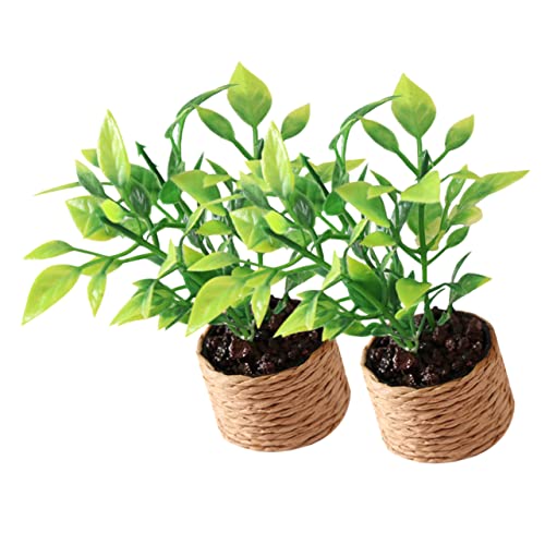 Sosoport 2 Stück Mini-orangenbaum Miniaturpflanzen Künstlich Miniaturhausdekorationen Küchentisch Mittelstücke Puppenspielzeug Miniaturhaus Kit Tischdekoration Für Das Esszimmer Plastik Sosoport 2 Stück Mini-orangenbaum Miniaturpflanzen Künstlich Miniaturhausdekorationen Küchentisch Mittelstücke Puppenspielzeug Miniaturhaus Kit Tischdekoration Für Das Esszimmer Plastik von Sosoport