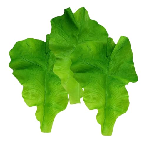 Sosoport 3 Stück Salatblattmodell Pflanzliches Modell Gefälschte Gemüseblattverzierung Simulation Salatblatt Simuliertes Gemüse Künstlicher Salat Simulation Grüne Gurke Green Plastik Sosoport 3 Stück Salatblattmodell Pflanzliches Modell Gefälschte Gemüseblattverzierung Simulation Salatblatt Simuliertes Gemüse Künstlicher Salat Simulation Grüne Gurke Green Plastik von Sosoport